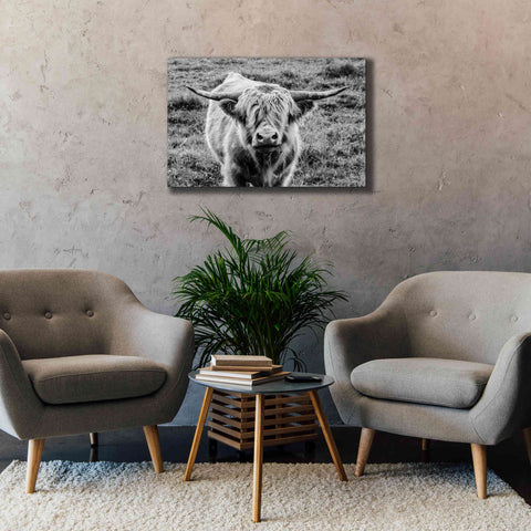 Image of 'Highland Cow Staring Contest' by Nathan Larson, Canvas Wall Art,40 x 26