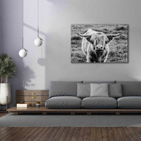 Image of 'Highland Cow Staring Contest' by Nathan Larson, Canvas Wall Art,60 x 40