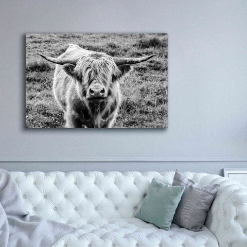 Image of 'Highland Cow Staring Contest' by Nathan Larson, Canvas Wall Art,60 x 40