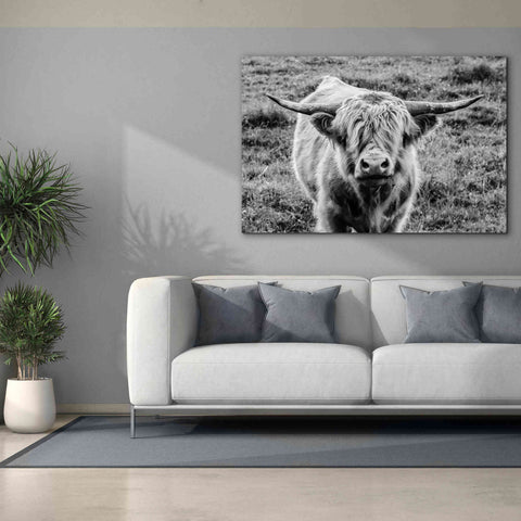 Image of 'Highland Cow Staring Contest' by Nathan Larson, Canvas Wall Art,60 x 40
