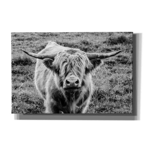 Image of 'Highland Cow Staring Contest' by Nathan Larson, Canvas Wall Art