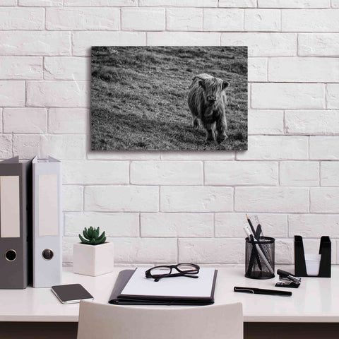 Image of 'Highland Cow Calf in the Wind' by Nathan Larson, Canvas Wall Art,18 x 12