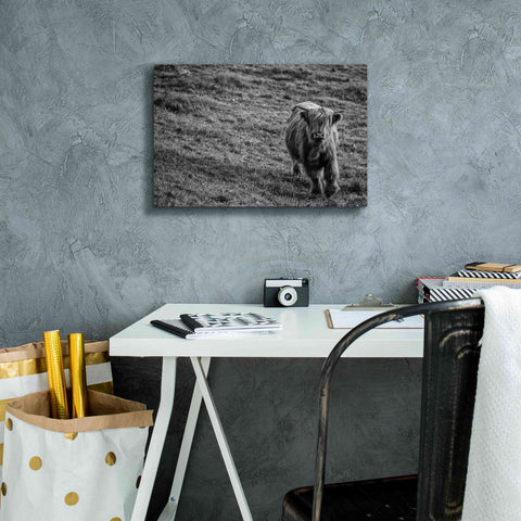 Image of 'Highland Cow Calf in the Wind' by Nathan Larson, Canvas Wall Art,18 x 12