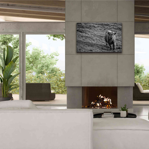 Image of 'Highland Cow Calf in the Wind' by Nathan Larson, Canvas Wall Art,40 x 26