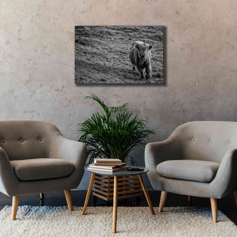 Image of 'Highland Cow Calf in the Wind' by Nathan Larson, Canvas Wall Art,40 x 26