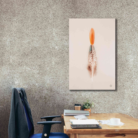 Image of 'Floating Feathers I' by Nathan Larson, Canvas Wall Art,26 x 40
