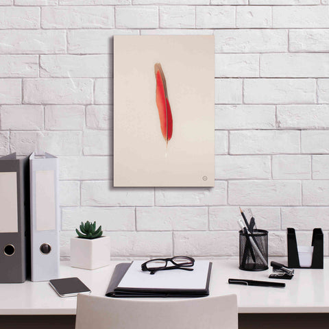 Image of 'Floating Feathers II' by Nathan Larson, Canvas Wall Art,12 x 18