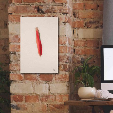 Image of 'Floating Feathers II' by Nathan Larson, Canvas Wall Art,12 x 18