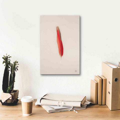 Image of 'Floating Feathers II' by Nathan Larson, Canvas Wall Art,12 x 18