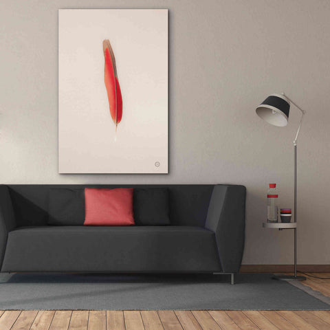 Image of 'Floating Feathers II' by Nathan Larson, Canvas Wall Art,40 x 60