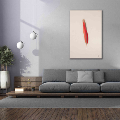 Image of 'Floating Feathers II' by Nathan Larson, Canvas Wall Art,40 x 60
