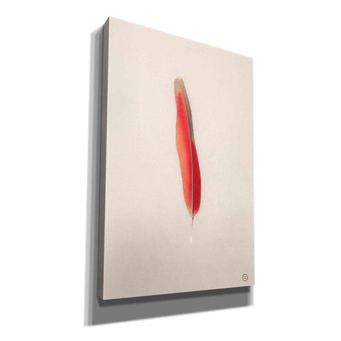 Image of 'Floating Feathers II' by Nathan Larson, Canvas Wall Art