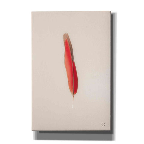 Image of 'Floating Feathers II' by Nathan Larson, Canvas Wall Art