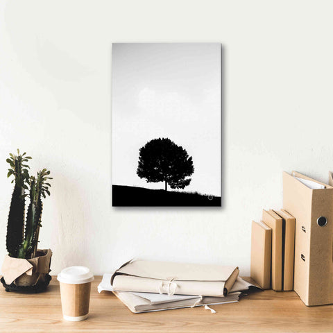 Image of 'Lone Tree Hill' by Nathan Larson, Canvas Wall Art,12 x 18