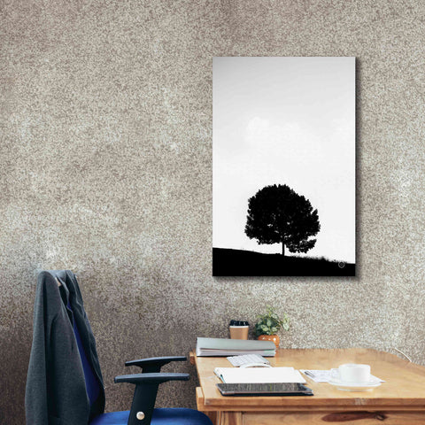 Image of 'Lone Tree Hill' by Nathan Larson, Canvas Wall Art,26 x 40