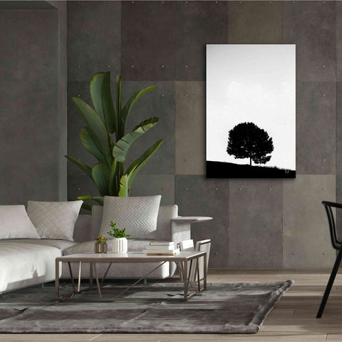 Image of 'Lone Tree Hill' by Nathan Larson, Canvas Wall Art,40 x 60
