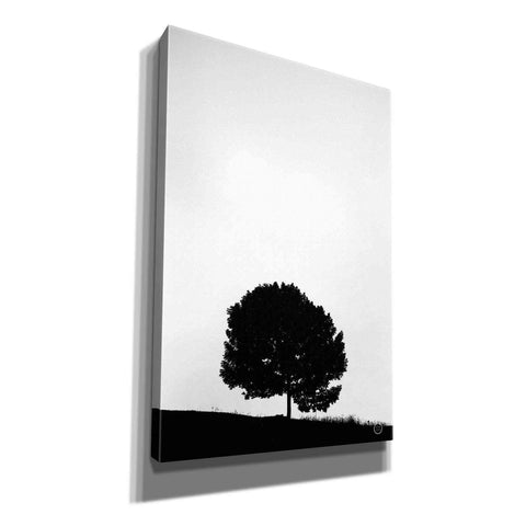 Image of 'Lone Tree Hill' by Nathan Larson, Canvas Wall Art