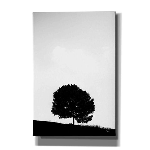 Image of 'Lone Tree Hill' by Nathan Larson, Canvas Wall Art