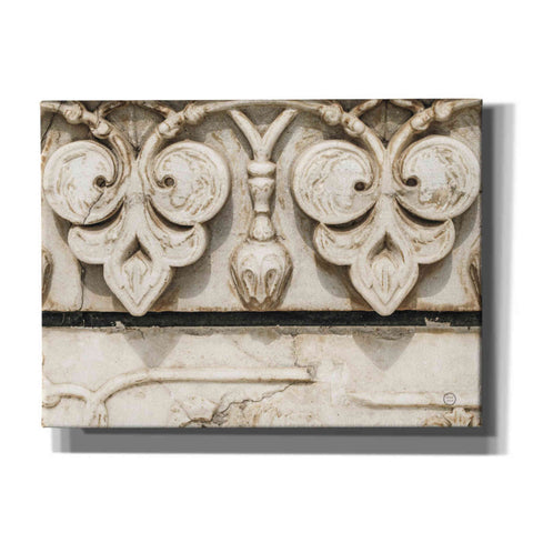 Image of 'Sculptural Detail' by Nathan Larson, Canvas Wall Art