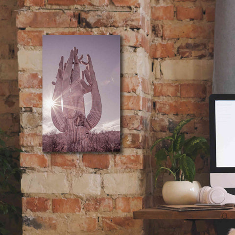 Image of 'Dusty Desert Saguaro' by Nathan Larson, Canvas Wall Art,12 x 18