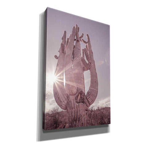 Image of 'Dusty Desert Saguaro' by Nathan Larson, Canvas Wall Art