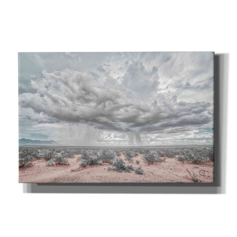 Image of 'New Mexico Rain' by Nathan Larson, Canvas Wall Art