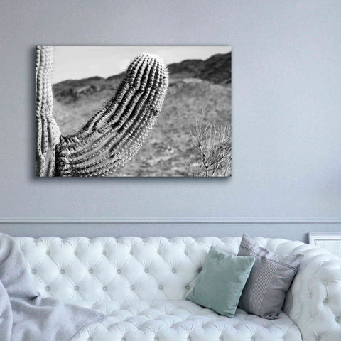 Image of 'Saguaro' by Nathan Larson, Canvas Wall Art,60 x 40