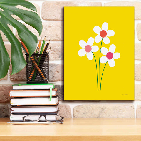 Image of 'Daisies II' by Ann Kelle Designs, Canvas Wall Art,12 x 16