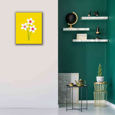 Image of 'Daisies II' by Ann Kelle Designs, Canvas Wall Art,20 x 24