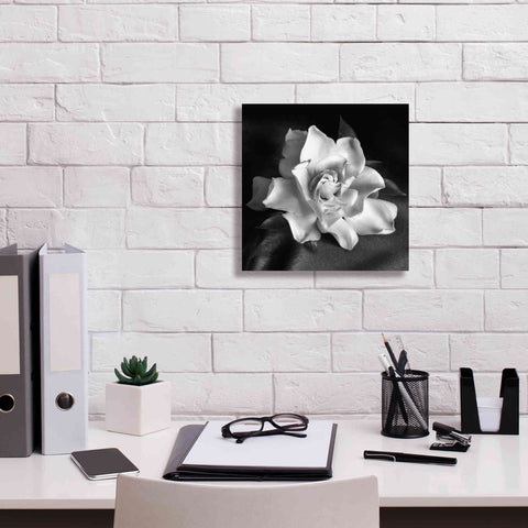 Image of 'Gardenia' by Debra Van Swearingen, Canvas Wall Art,12 x 12