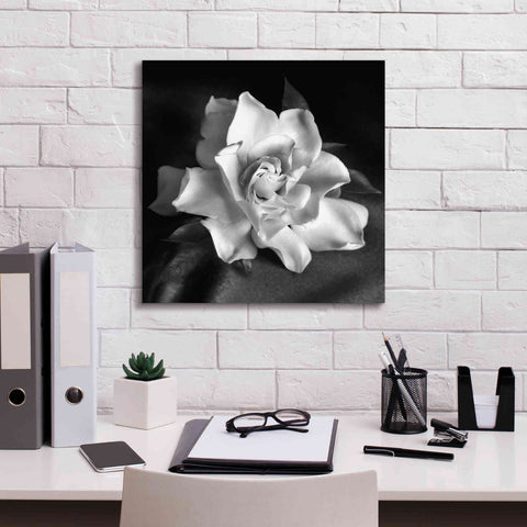Image of 'Gardenia' by Debra Van Swearingen, Canvas Wall Art,18 x 18