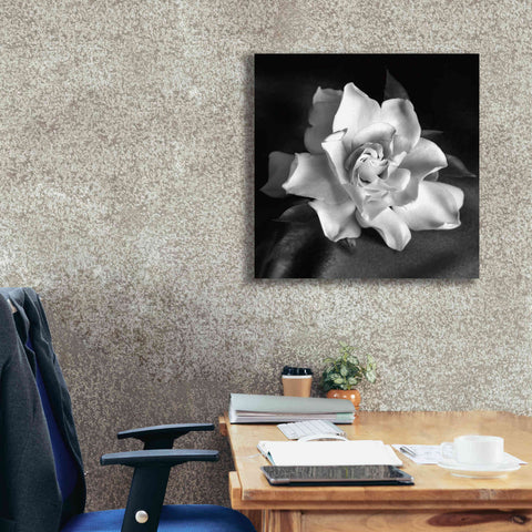 Image of 'Gardenia' by Debra Van Swearingen, Canvas Wall Art,26 x 26