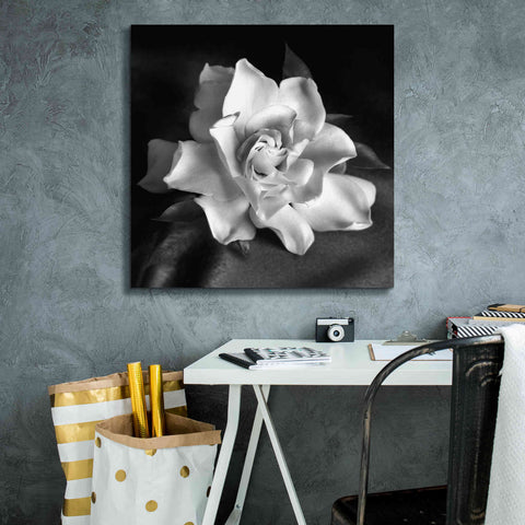 Image of 'Gardenia' by Debra Van Swearingen, Canvas Wall Art,26 x 26