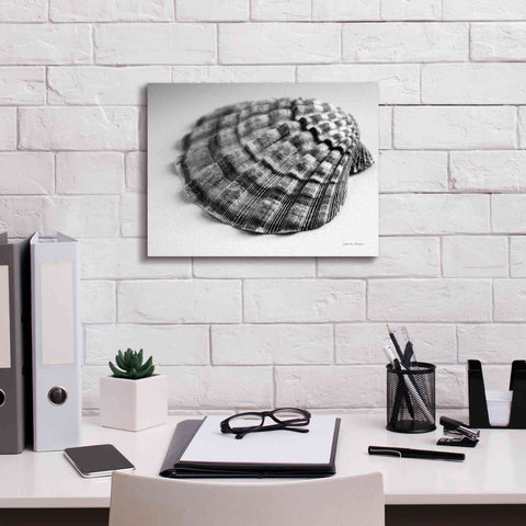 Image of 'Scallop 3' by Debra Van Swearingen, Canvas Wall Art,16 x 12