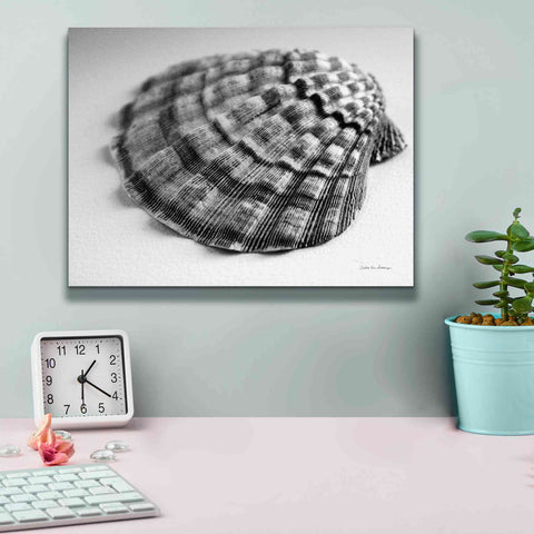 Image of 'Scallop 3' by Debra Van Swearingen, Canvas Wall Art,16 x 12