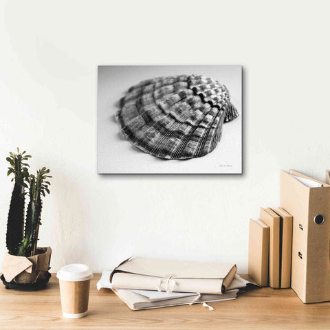 Image of 'Scallop 3' by Debra Van Swearingen, Canvas Wall Art,16 x 12