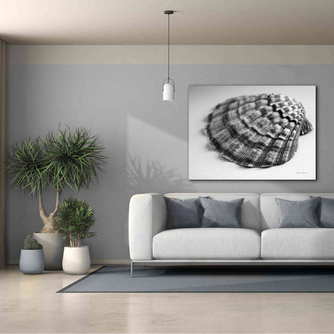 Image of 'Scallop 3' by Debra Van Swearingen, Canvas Wall Art,54 x 40