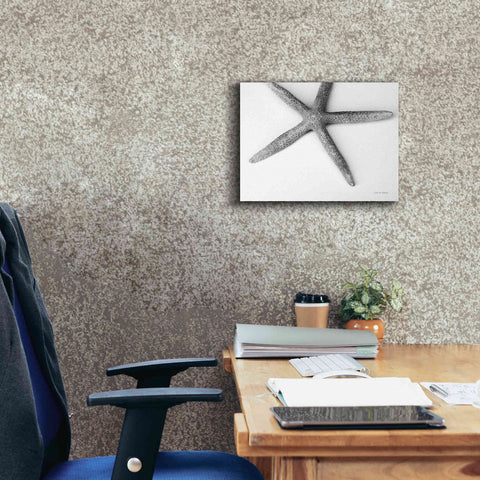 Image of 'Starfish Detail' by Debra Van Swearingen, Canvas Wall Art,16 x 12