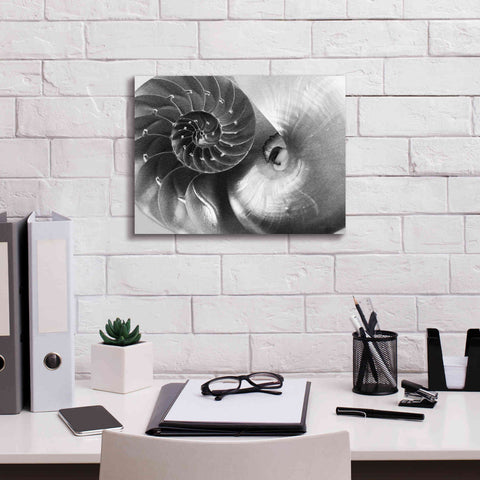 Image of 'Nautilus Yin Yang' by Debra Van Swearingen, Canvas Wall Art,16 x 12