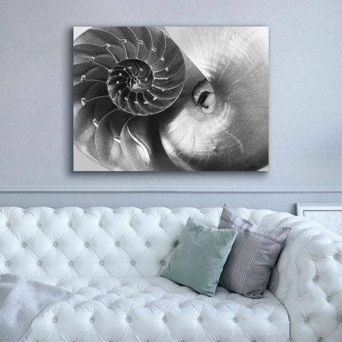 Image of 'Nautilus Yin Yang' by Debra Van Swearingen, Canvas Wall Art,54 x 40