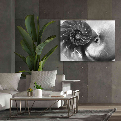 Image of 'Nautilus Yin Yang' by Debra Van Swearingen, Canvas Wall Art,54 x 40
