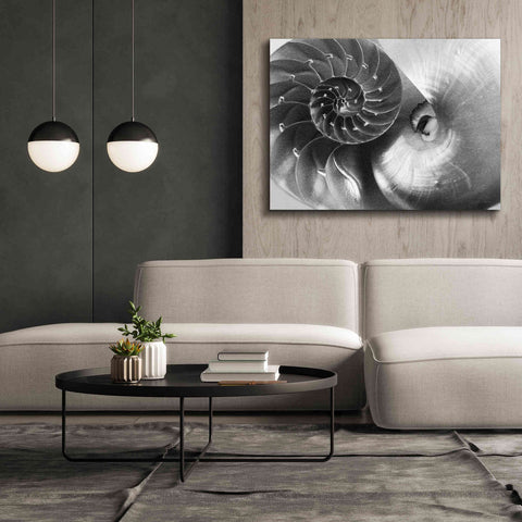 Image of 'Nautilus Yin Yang' by Debra Van Swearingen, Canvas Wall Art,54 x 40