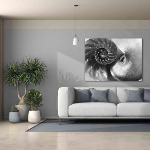 Image of 'Nautilus Yin Yang' by Debra Van Swearingen, Canvas Wall Art,54 x 40