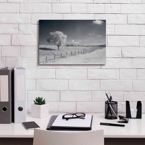 Image of 'Trees Fence I' by Debra Van Swearingen, Canvas Wall Art,18 x 12