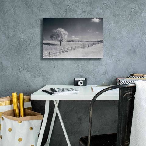 Image of 'Trees Fence I' by Debra Van Swearingen, Canvas Wall Art,18 x 12