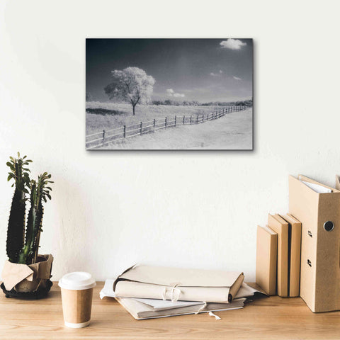 Image of 'Trees Fence I' by Debra Van Swearingen, Canvas Wall Art,18 x 12