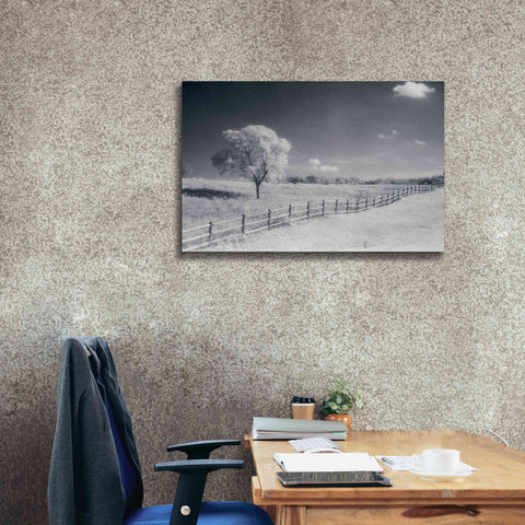 Image of 'Trees Fence I' by Debra Van Swearingen, Canvas Wall Art,40 x 26