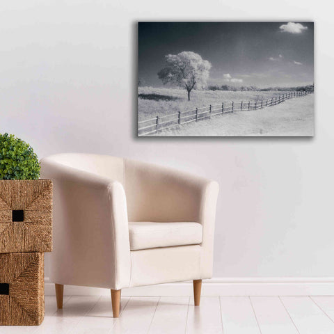 Image of 'Trees Fence I' by Debra Van Swearingen, Canvas Wall Art,40 x 26