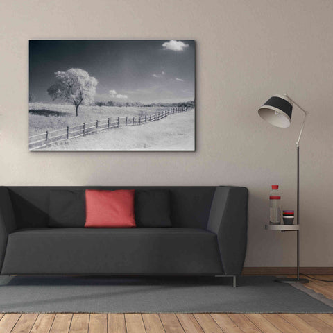 Image of 'Trees Fence I' by Debra Van Swearingen, Canvas Wall Art,60 x 40