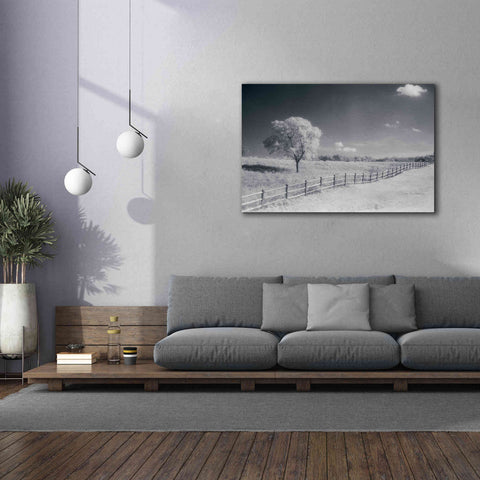 Image of 'Trees Fence I' by Debra Van Swearingen, Canvas Wall Art,60 x 40